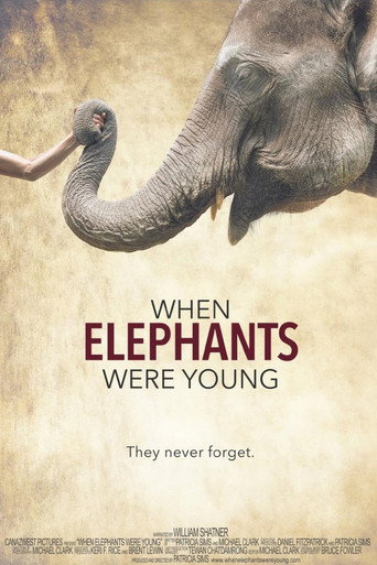 Movie poster for When Elephants Were Young (2016)