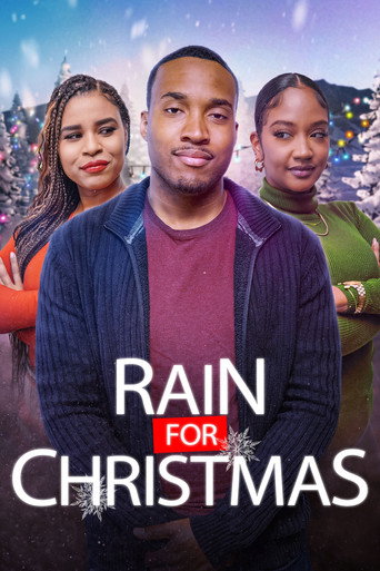 Movie poster for Rain for Christmas (2024)