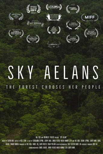 Movie poster for Sky Islands (2021)