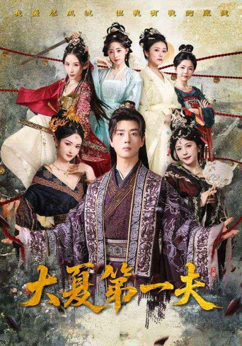 大夏第一夫 poster