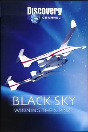 Series poster for Black Sky (2004)