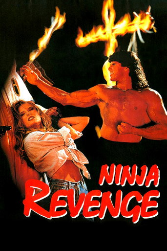 Movie poster for Ninja Vengeance (1993)