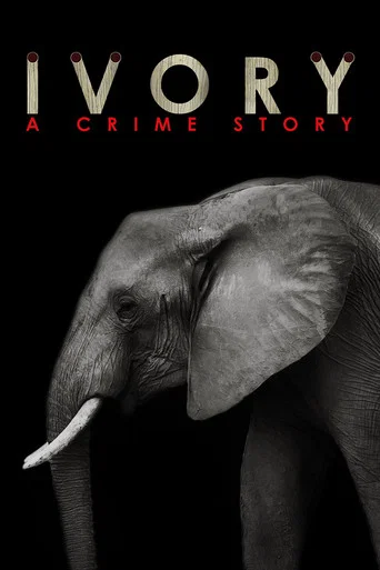 Movie poster for Ivory. A Crime Story (2016)