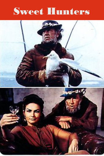 Sweet Hunters poster