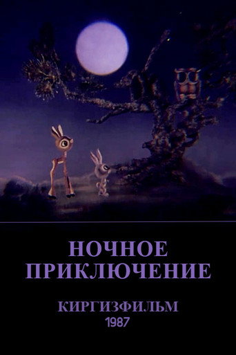 Movie poster for The Nighttime Adventure (1987)