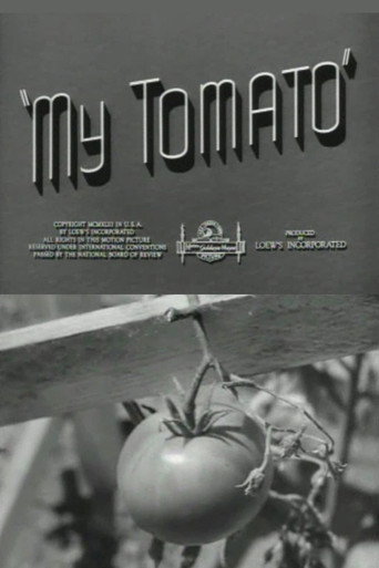 My Tomato poster
