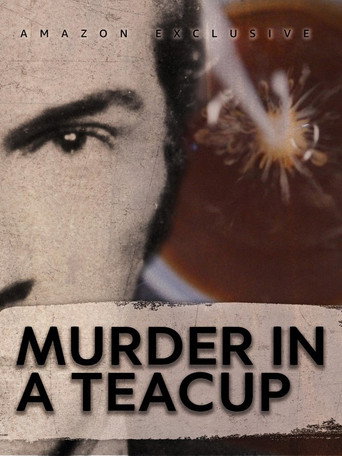 Movie poster for Murder in a Teacup (2024)