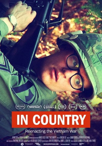 Movie poster for In Country (2015)