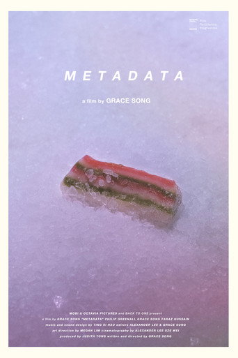 Movie poster for Metadata (2021)