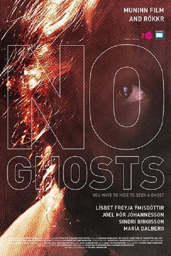 Movie poster for No Ghosts (2017)