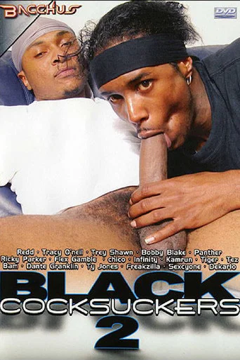Movie poster for Black Cocksuckers 2 (2007)