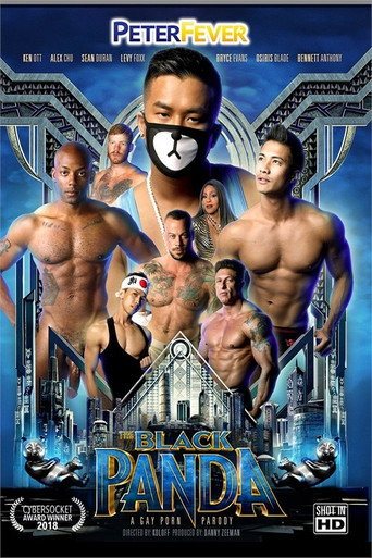 Movie poster for The Black Panda 1 (2019)