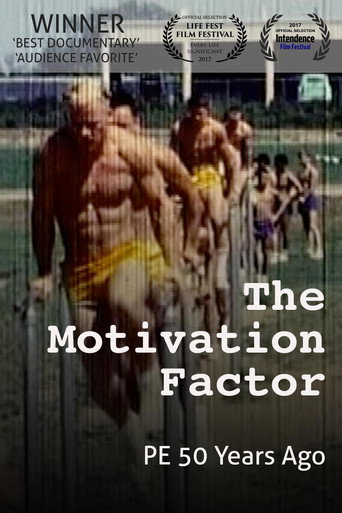 Movie poster for The Motivation Factor: to Become Smart, Productive & Mentally Stable (2017)