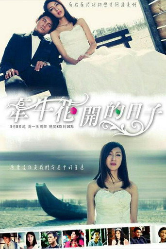 牽牛花開的日子 poster