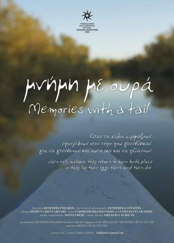 Movie poster for Memories with a Tail (2022)