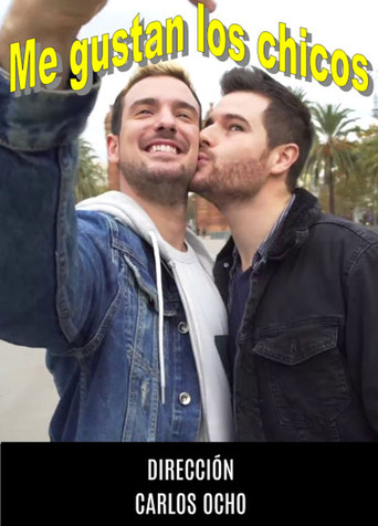 Movie poster for Me Gustan los Chicos (2017)