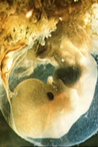 Movie poster for Schwangerschaft und Geburt (1982)