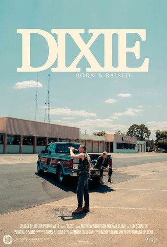Movie poster for Dixie
