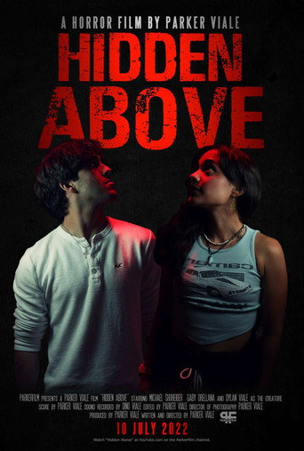 Movie poster for Hidden Above (2022)