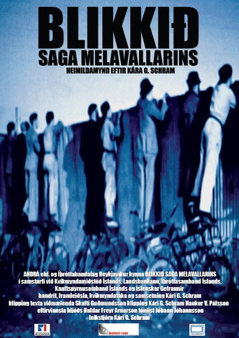 Movie poster for The Pitch: A Sports Arena With a Soul (2012)