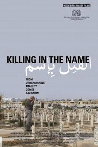 Movie poster for Killing in the Name (2010)