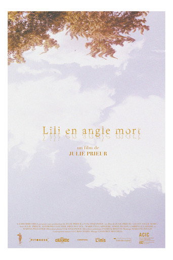 Movie poster for Lili's Blind Spot (2019)