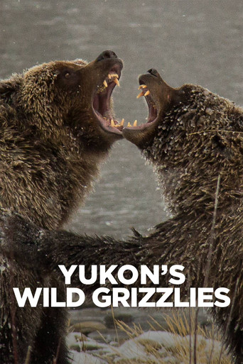 Movie poster for Yukon's Wild Grizzlies (2021)