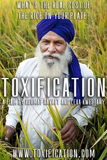 Movie poster for Toxification (2020)