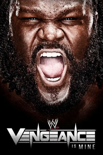 WWE Vengeance 2011 poster