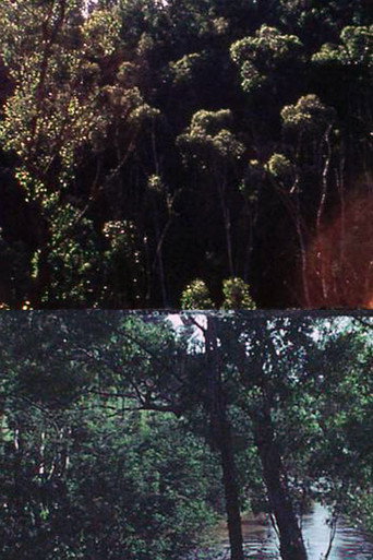 Movie poster for At Eltham, a Metaphor on Death (1974)