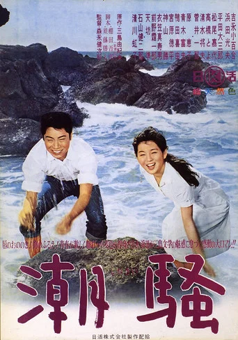 Movie poster for The Sound of Waves (1964)