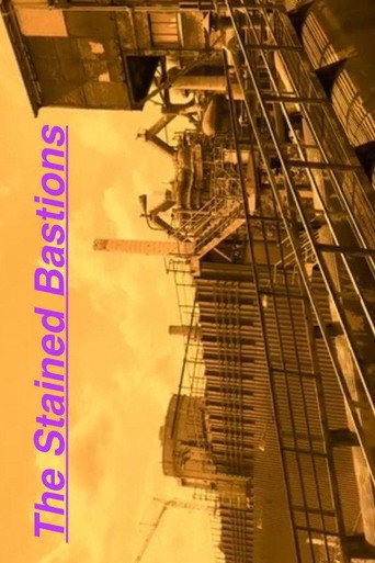 Movie poster for The Stained Bastions (2025)