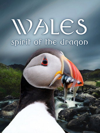 Movie poster for Wales: Spirit of the Dragon (2022)
