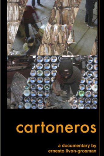 Cartoneros poster