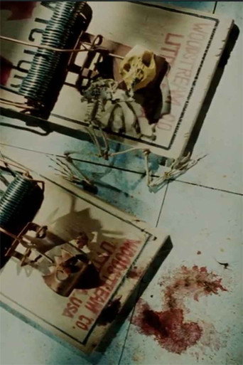 Movie poster for Frog Skeleton (1991)