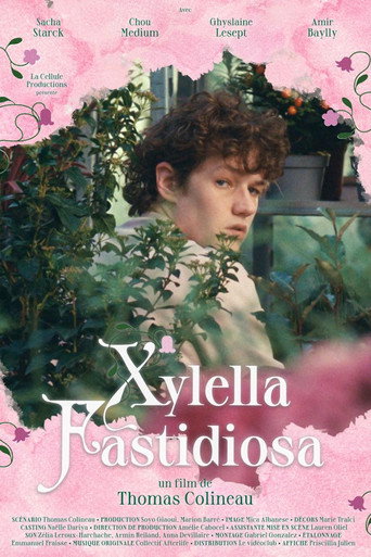 Movie poster for Xylella Fastidiosa (2025)