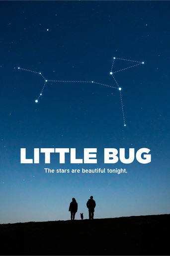Little Bug poster