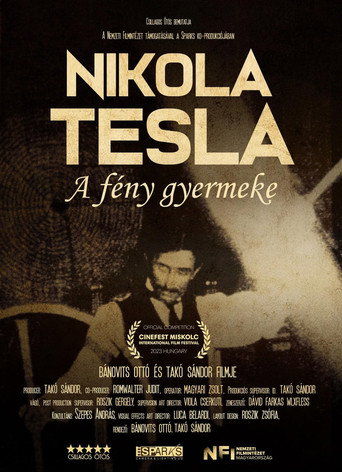 Movie poster for Nikola before Tesla (2024)