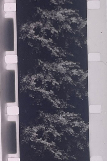 Movie poster for Plotting the Grey Scale: 2 or 3 Quick Traverses (1985)
