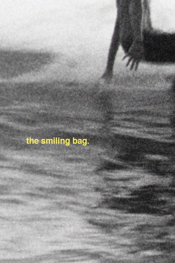 Movie poster for the smiling bag (2016)