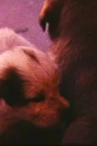 Movie poster for Pup Birth