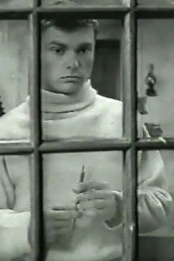 The Death of a Provincial poster