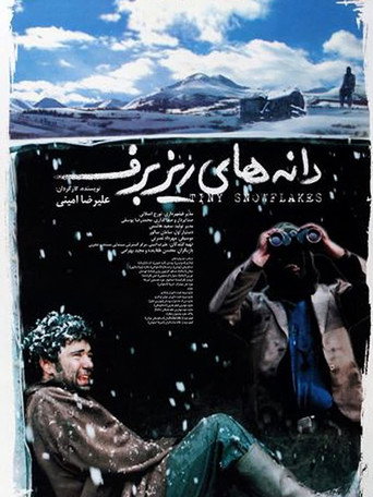 Movie poster for Tiny Snowflakes (2003)