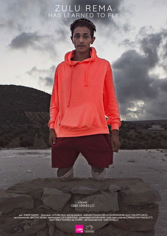 Zulu Rema has learned to fly poster