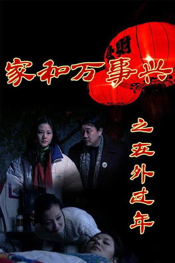 家和万事兴之在外过年 poster
