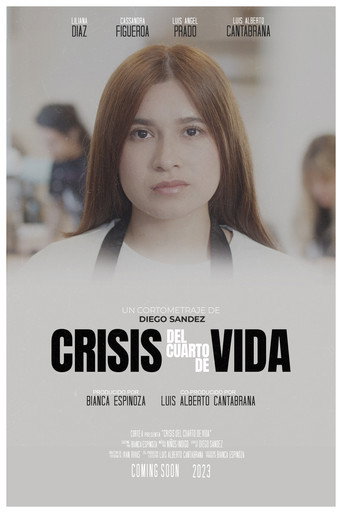 Movie poster for Quarter Life Crisis (2023)