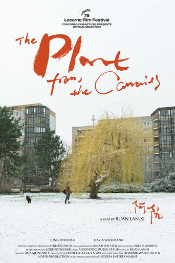Movie poster for The Plant from the Canaries (2025)