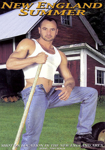 Movie poster for New England Summer (2002)