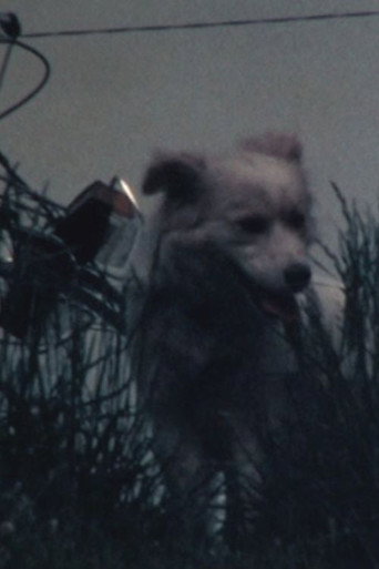 Movie poster for 白い犬 (1984)