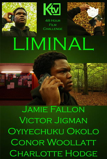 Movie poster for Liminal (2024)